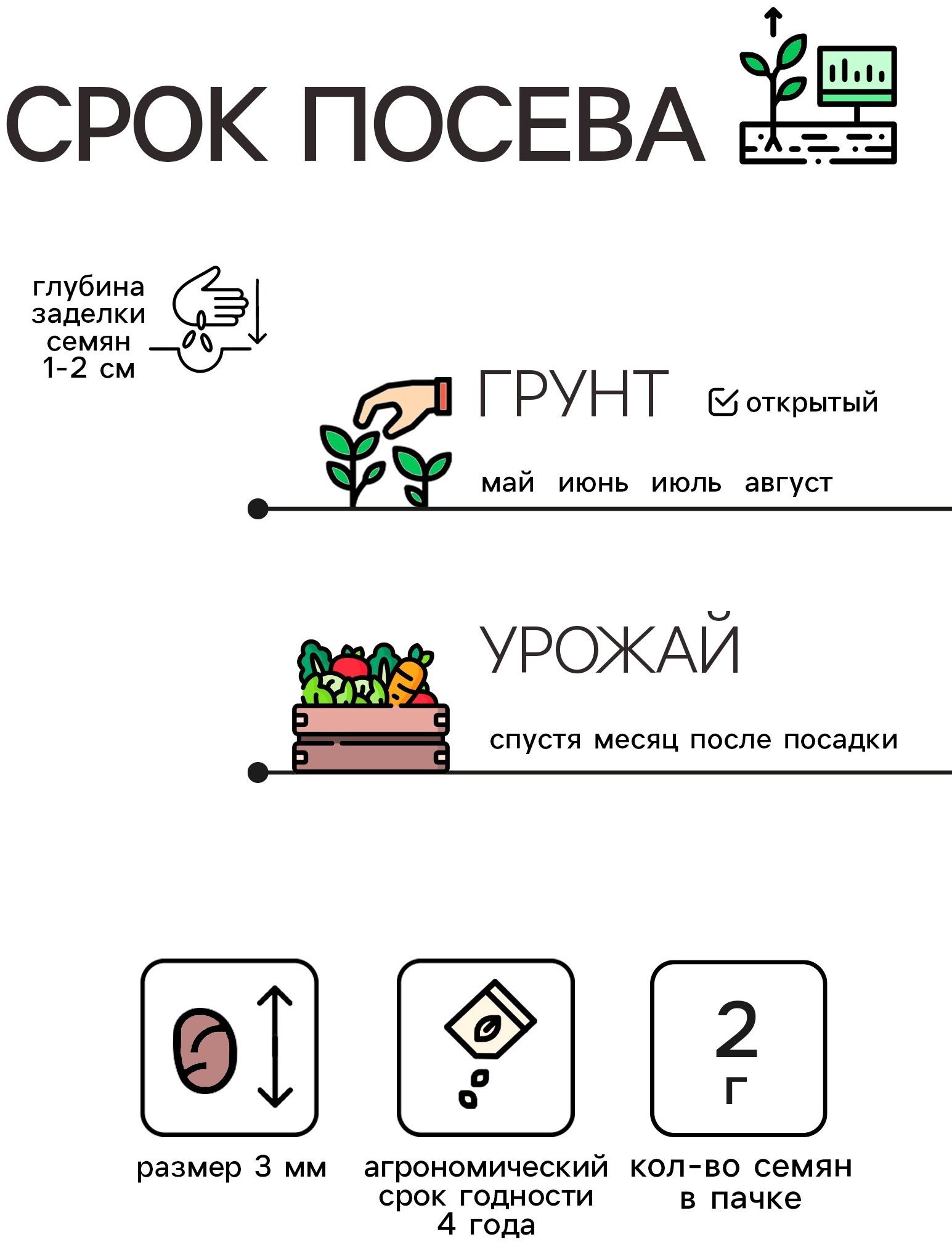 Семена Редис 