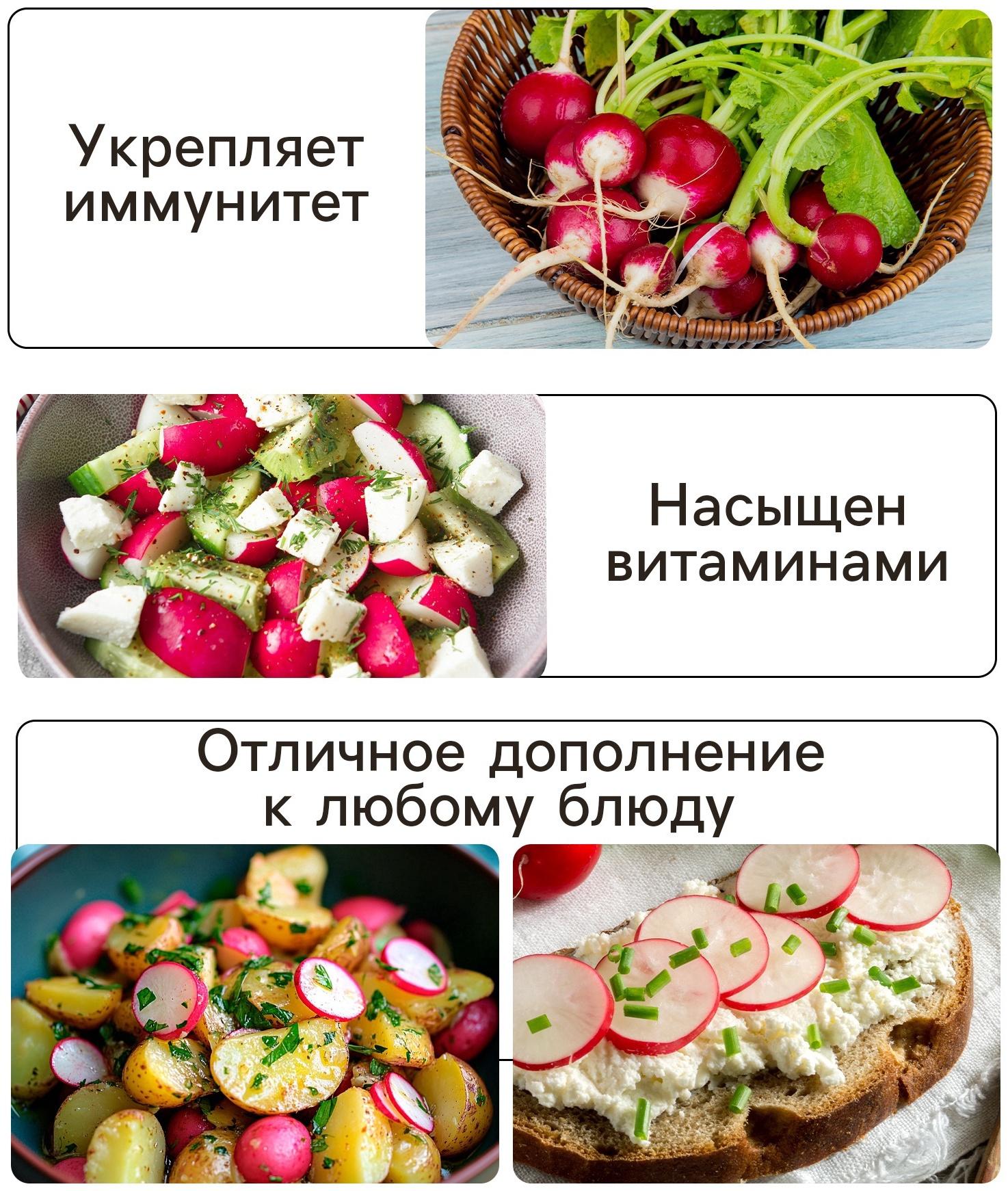 Семена Редис 