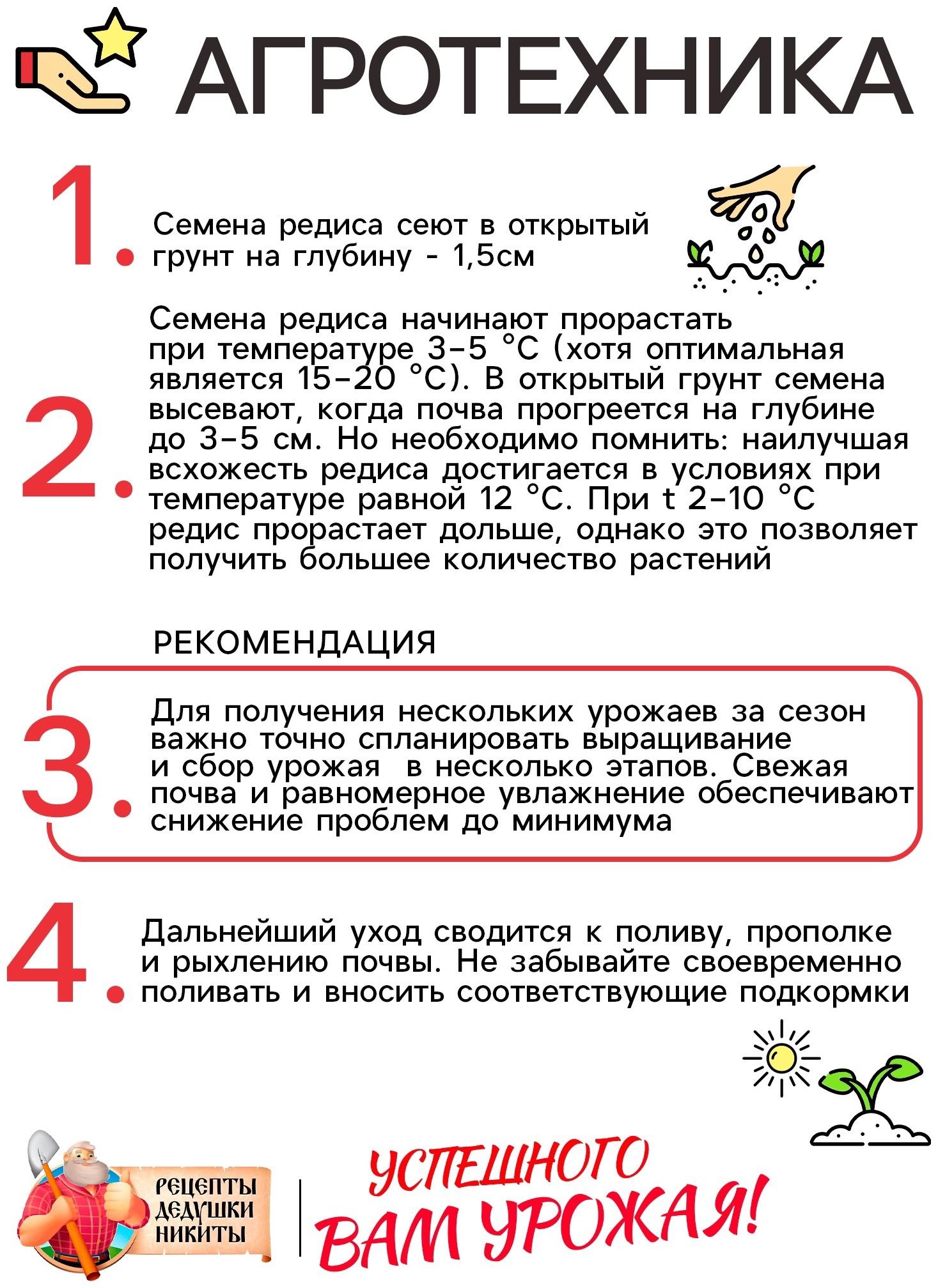 Семена Редис 