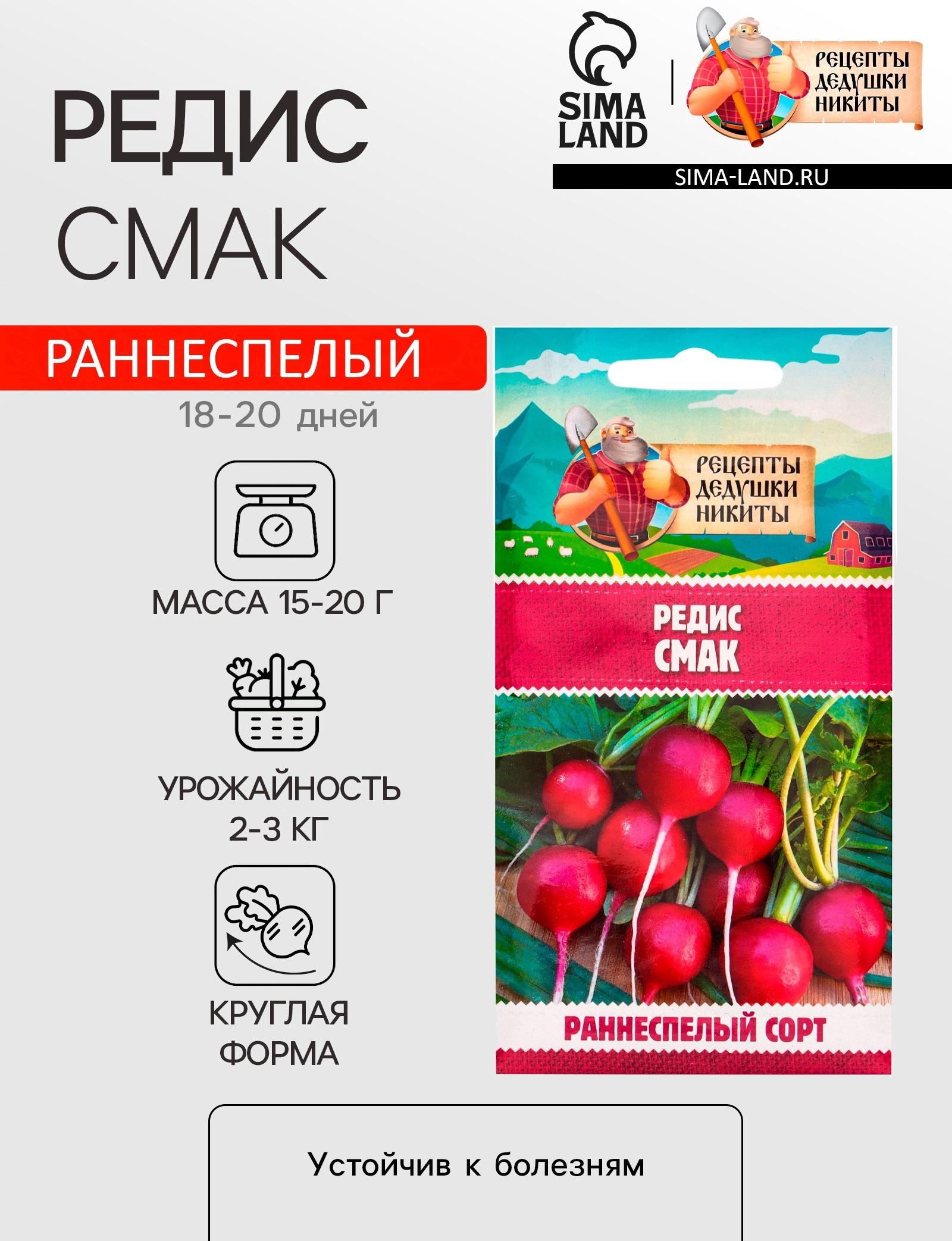 Семена Редис 