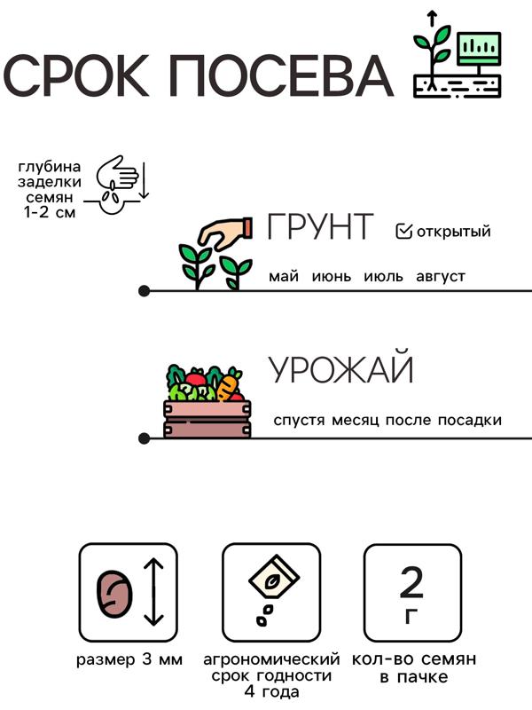 Семена Редис 