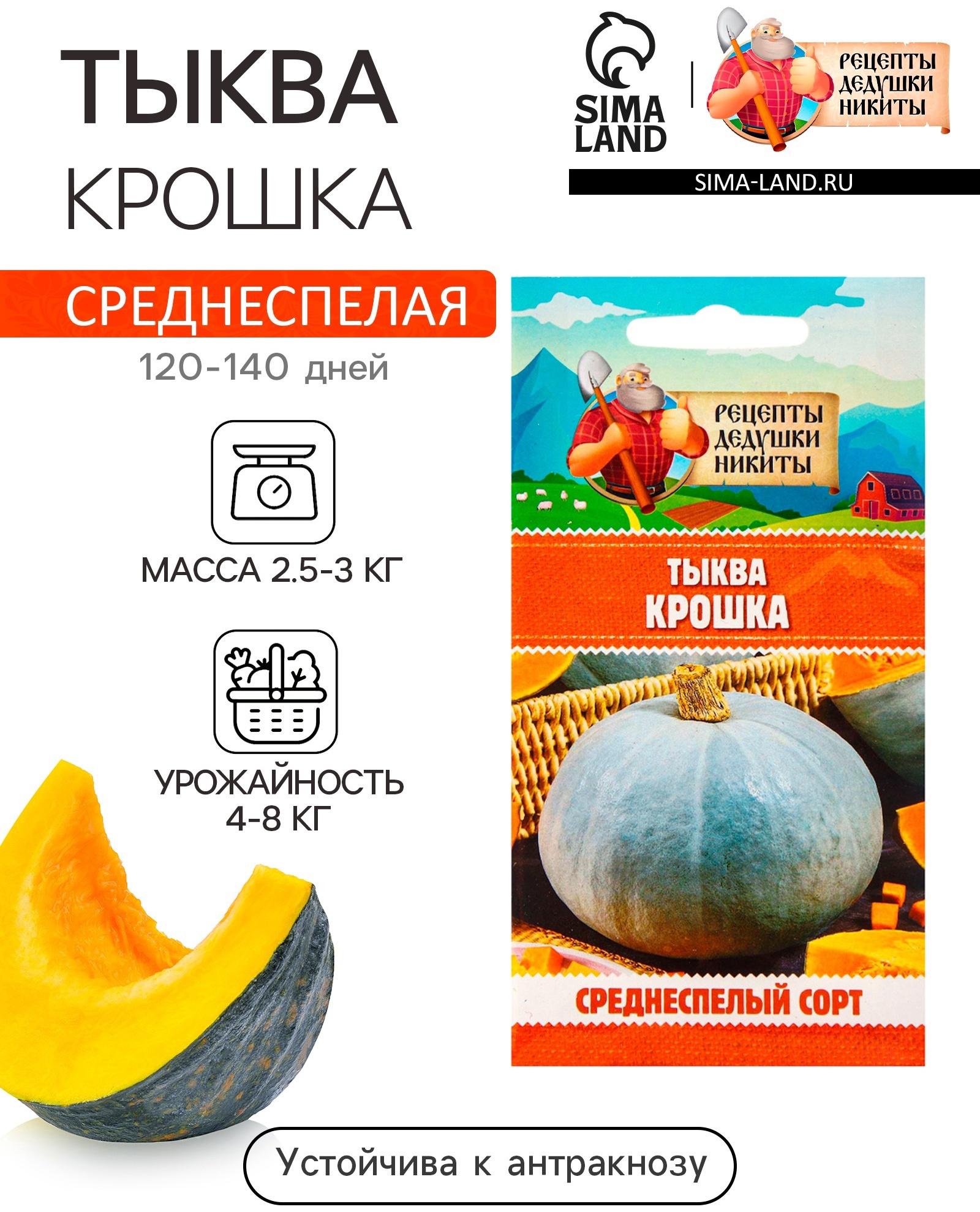 Семена Тыква 