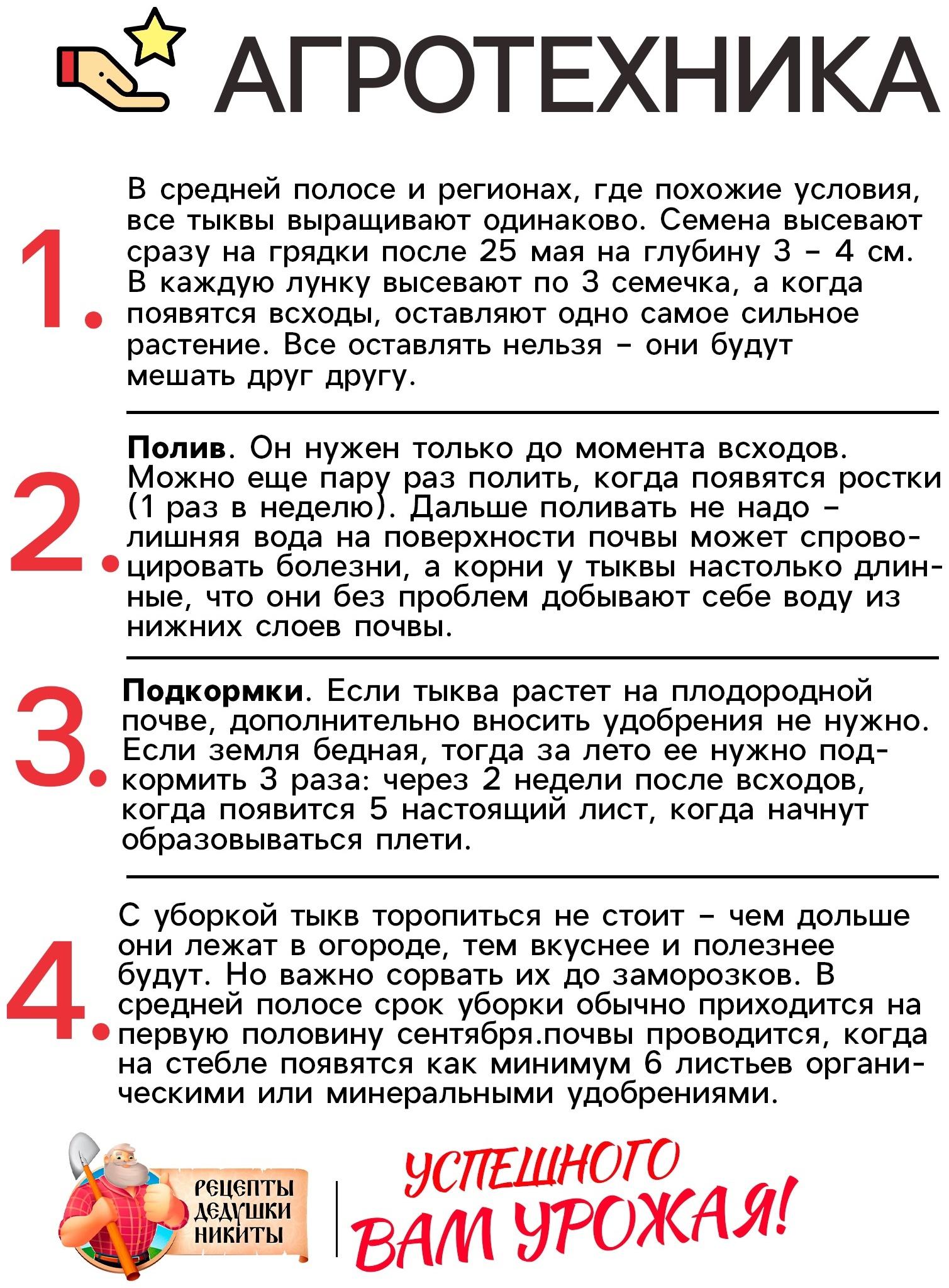 Семена Тыква 