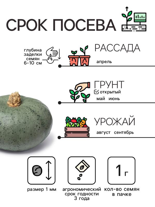 Семена Тыква 