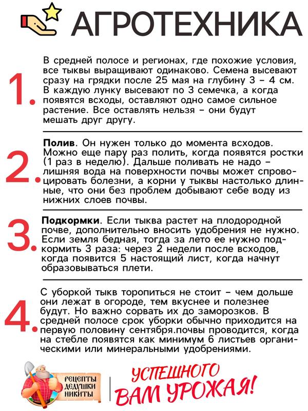 Семена Тыква 