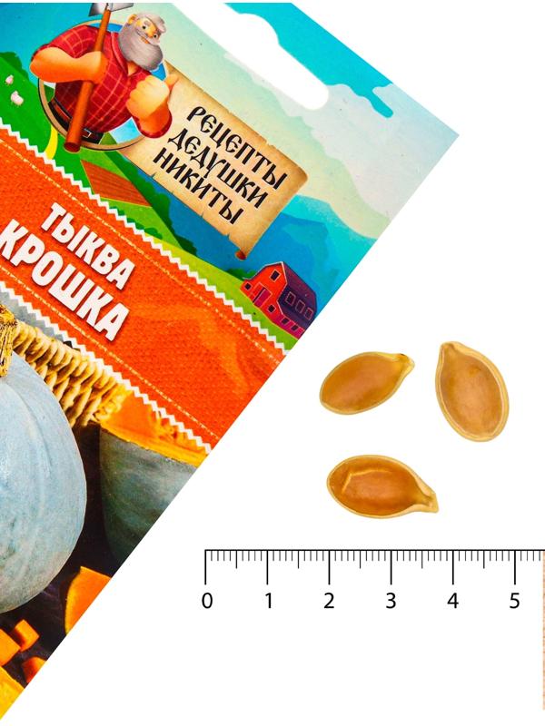 Семена Тыква 