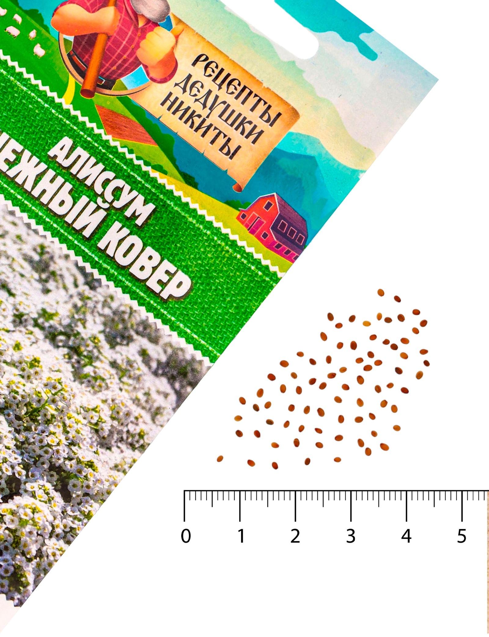 Семена цветов Алиссум 