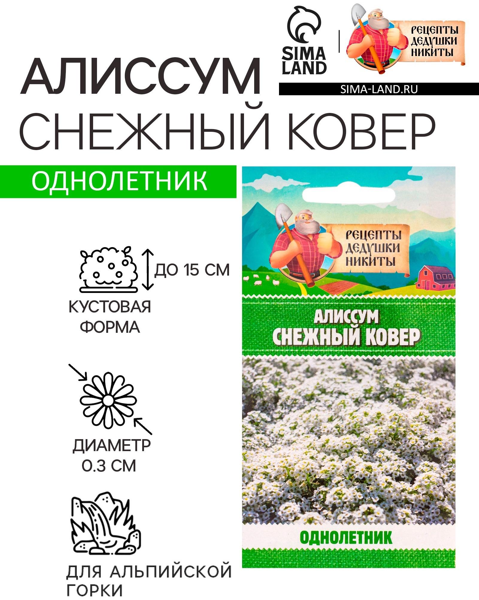 Семена цветов Алиссум 