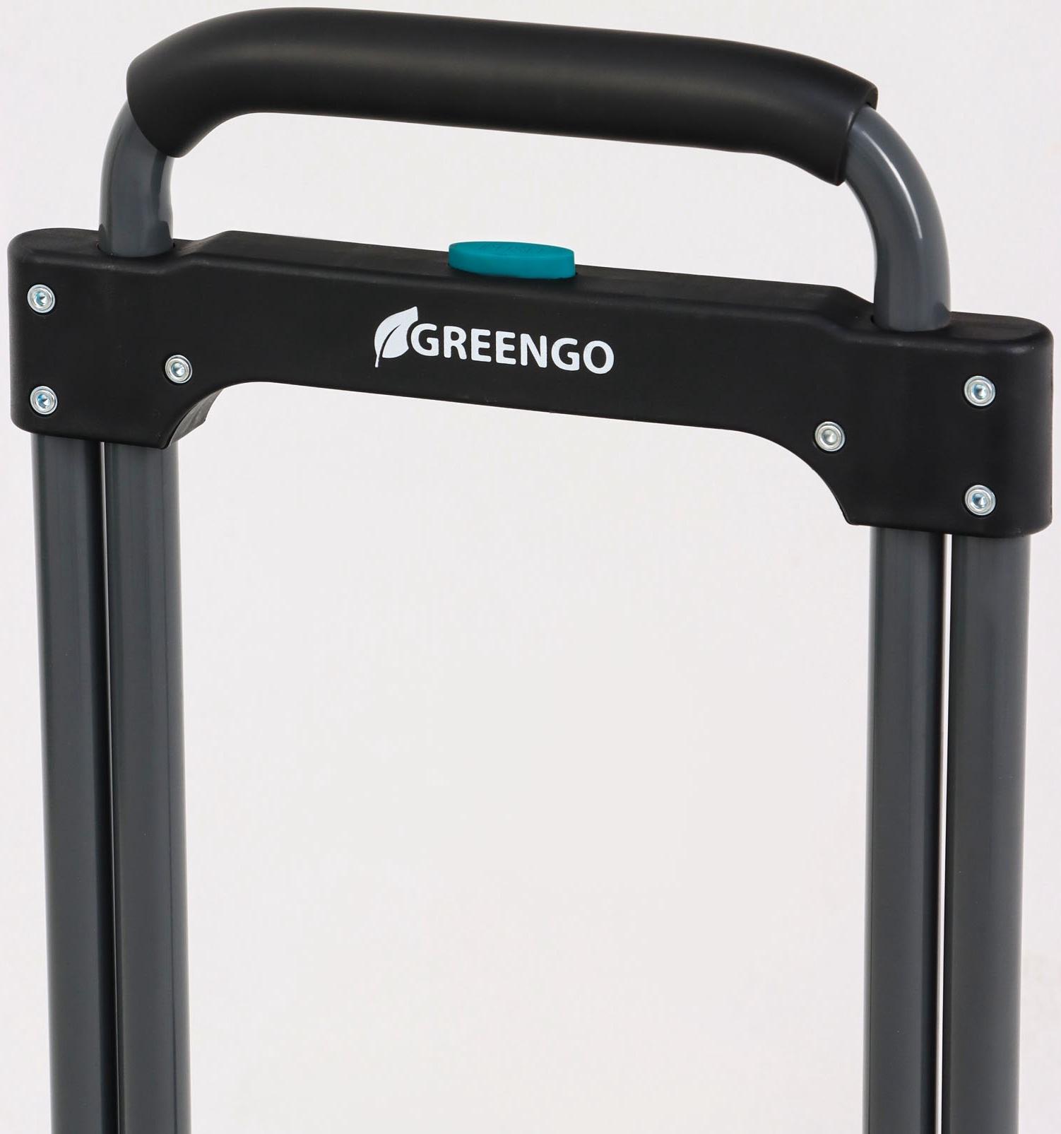 Тележка ручная хозяйственная, двухколёсная, нагрузка до 100 кг, складная, грузовая, Greengo