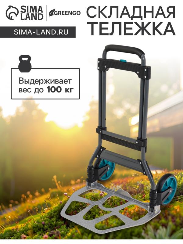 Тележка ручная хозяйственная, двухколёсная, нагрузка до 100 кг, складная, грузовая, Greengo