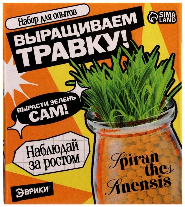 Набор для опытов «Выращиваем травку», своими руками, оранжевый