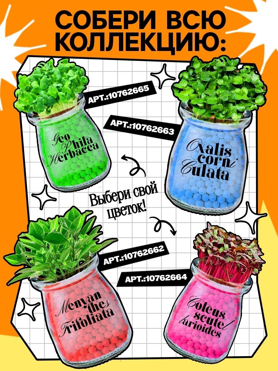 Набор для опытов «Выращиваем травку», своими руками, оранжевый