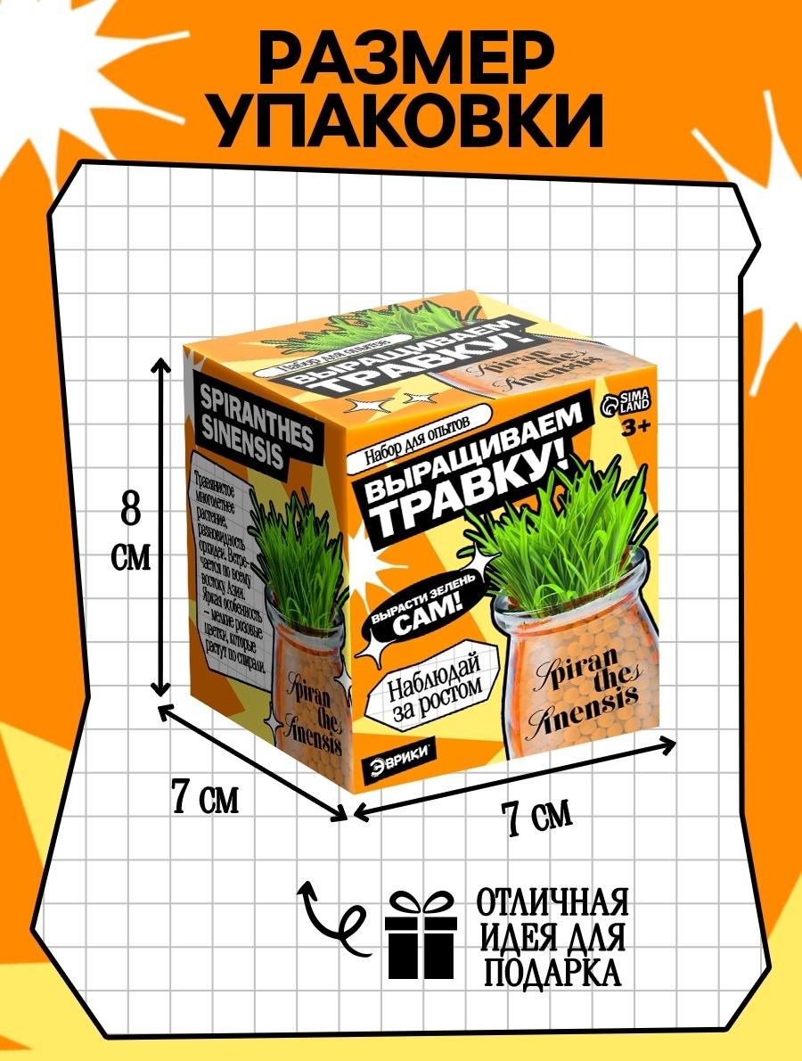 Набор для опытов «Выращиваем травку», своими руками, оранжевый