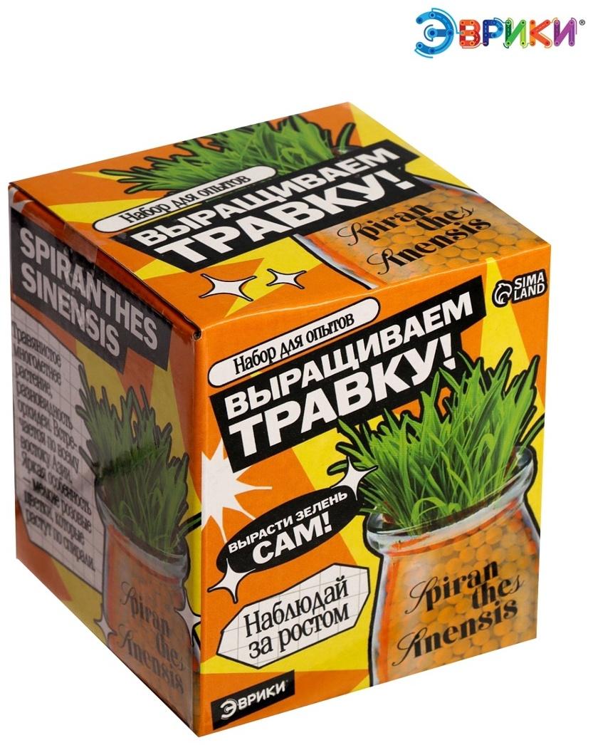 Набор для опытов «Выращиваем травку», своими руками, оранжевый