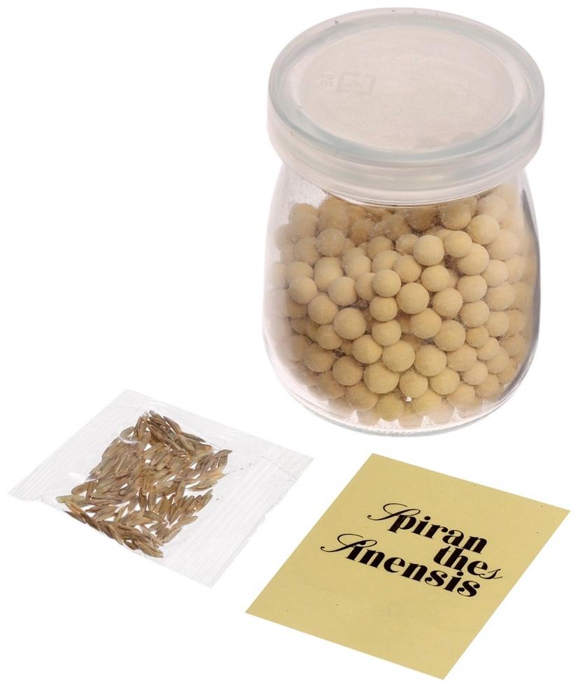 Набор для опытов «Выращиваем травку», своими руками, оранжевый