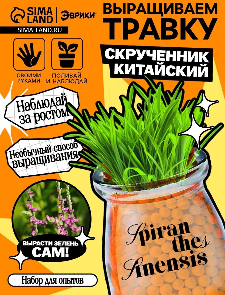 Набор для опытов «Выращиваем травку», своими руками, оранжевый