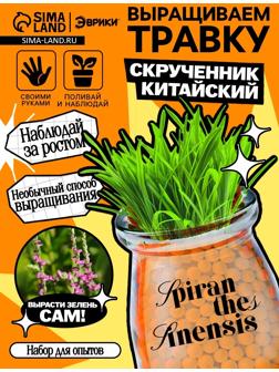 Набор для опытов «Выращиваем травку», своими руками, оранжевый