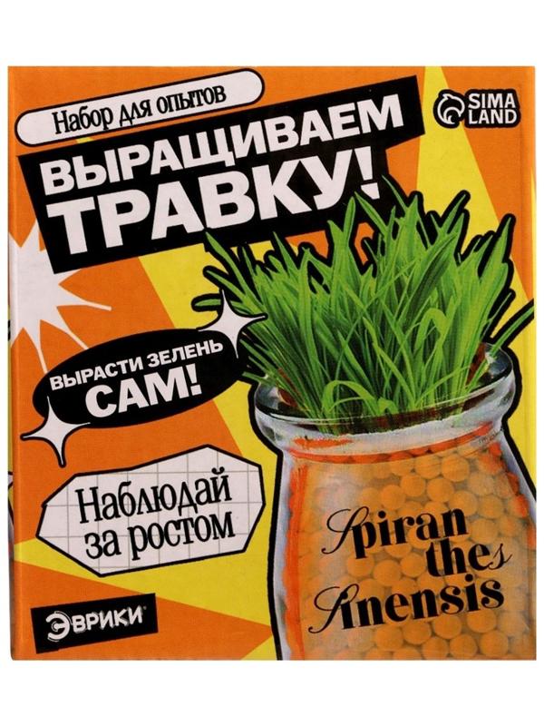 Набор для опытов «Выращиваем травку», своими руками, оранжевый