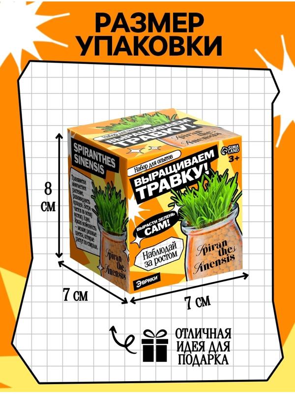 Набор для опытов «Выращиваем травку», своими руками, оранжевый
