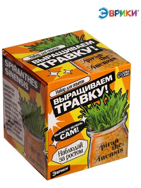 Набор для опытов «Выращиваем травку», своими руками, оранжевый