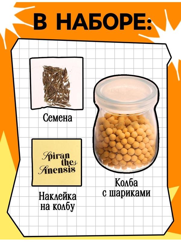 Набор для опытов «Выращиваем травку», своими руками, оранжевый