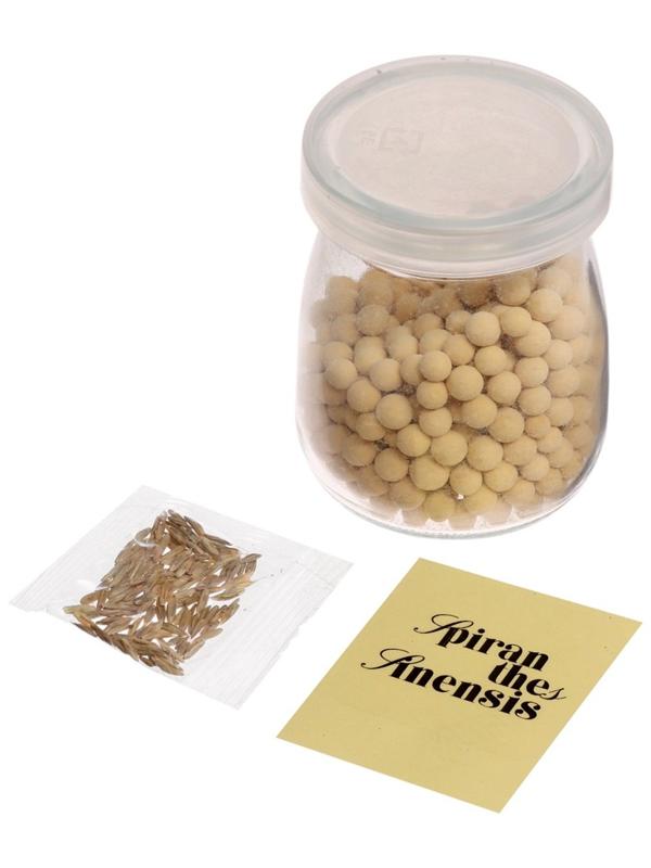 Набор для опытов «Выращиваем травку», своими руками, оранжевый