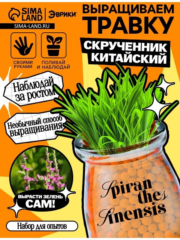 Набор для опытов «Выращиваем травку», своими руками, оранжевый