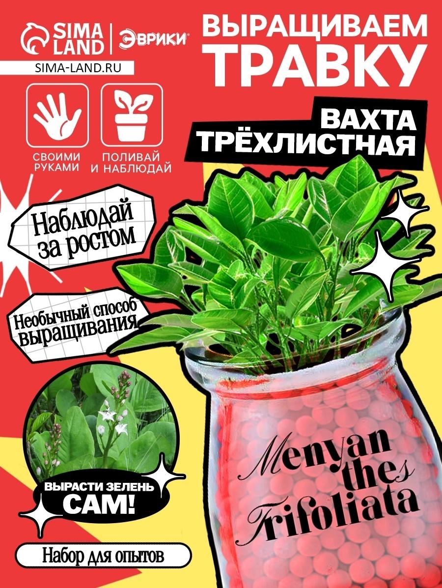 Набор для опытов «Выращиваем травку» своими руками, красный