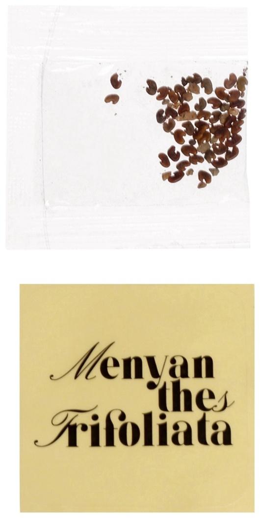 Набор для опытов «Выращиваем травку» своими руками, красный