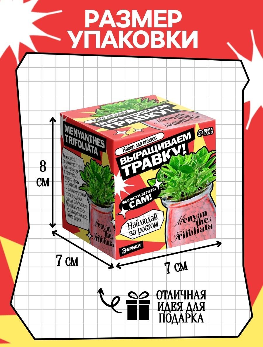 Набор для опытов «Выращиваем травку» своими руками, красный