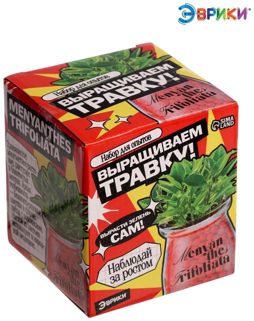 Набор для опытов «Выращиваем травку» своими руками, красный