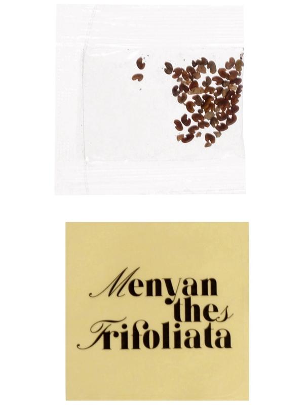 Набор для опытов «Выращиваем травку» своими руками, красный