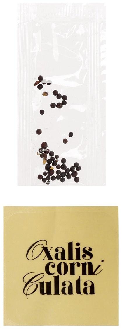 Набор для опытов «Выращиваем травку», своими руками, голубой