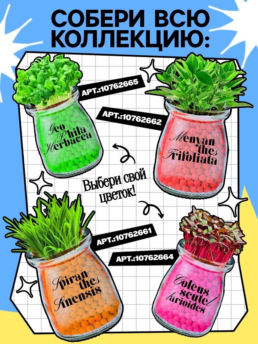 Набор для опытов «Выращиваем травку», своими руками, голубой