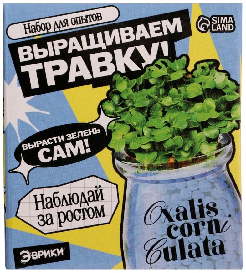 Набор для опытов «Выращиваем травку», своими руками, голубой