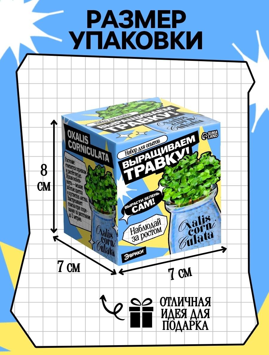 Набор для опытов «Выращиваем травку», своими руками, голубой