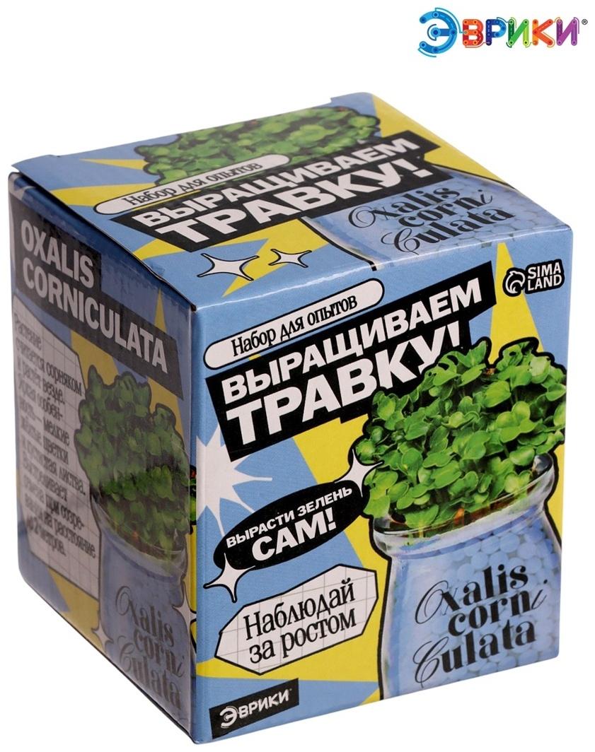 Набор для опытов «Выращиваем травку», своими руками, голубой