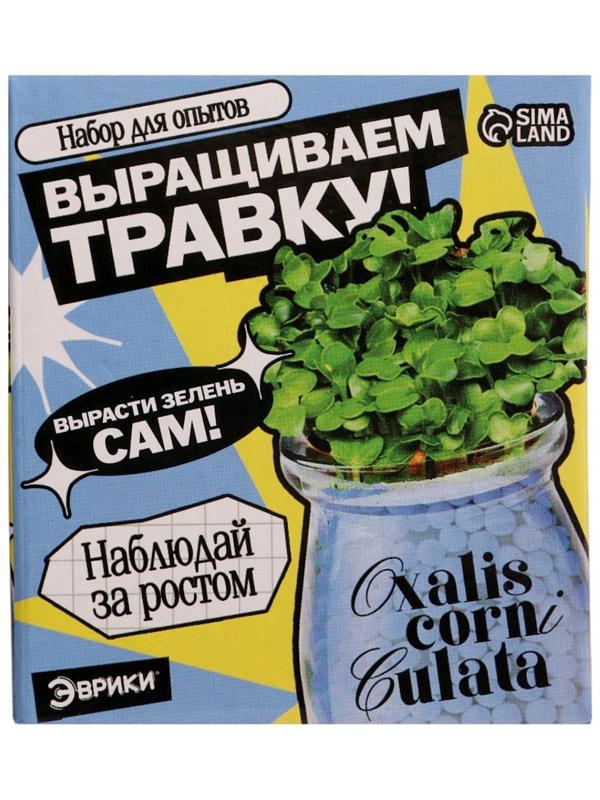 Набор для опытов «Выращиваем травку», своими руками, голубой