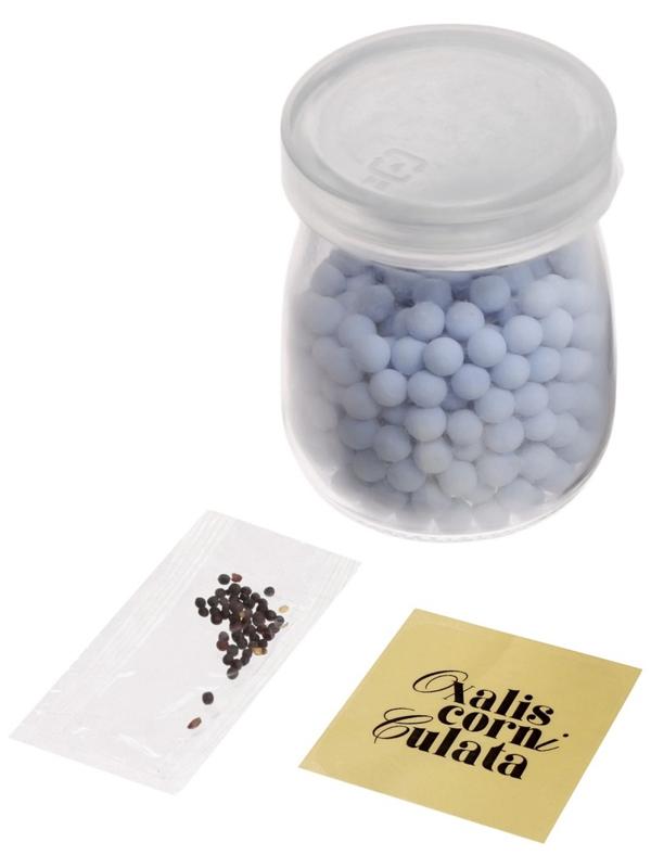 Набор для опытов «Выращиваем травку», своими руками, голубой