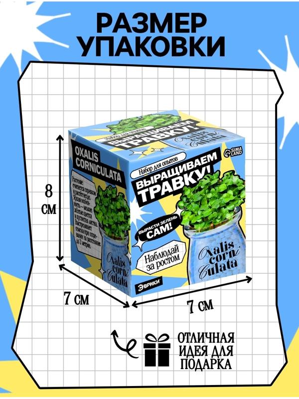 Набор для опытов «Выращиваем травку», своими руками, голубой