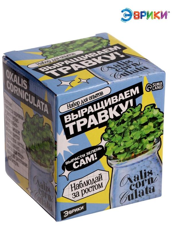 Набор для опытов «Выращиваем травку», своими руками, голубой