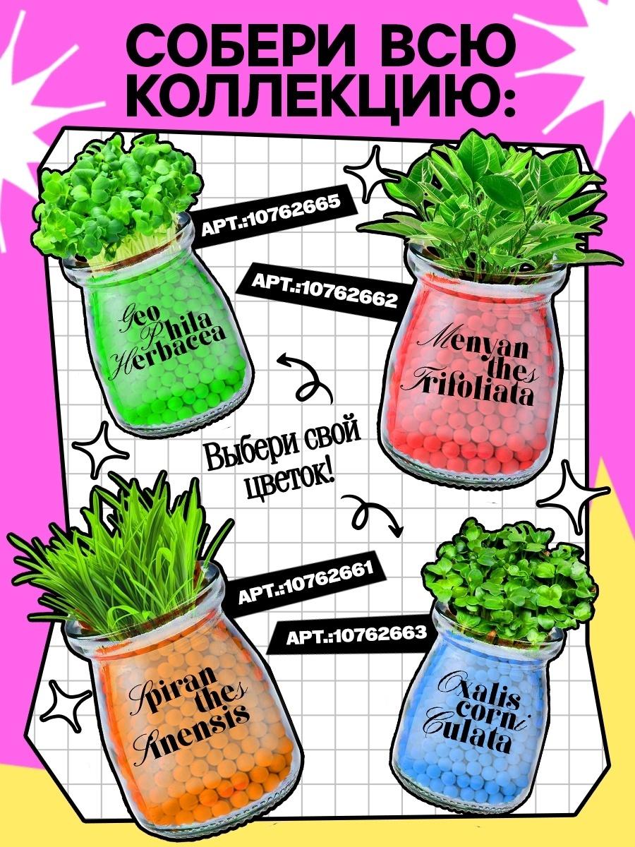 Набор для опытов «Выращиваем травку», своими руками, розовый