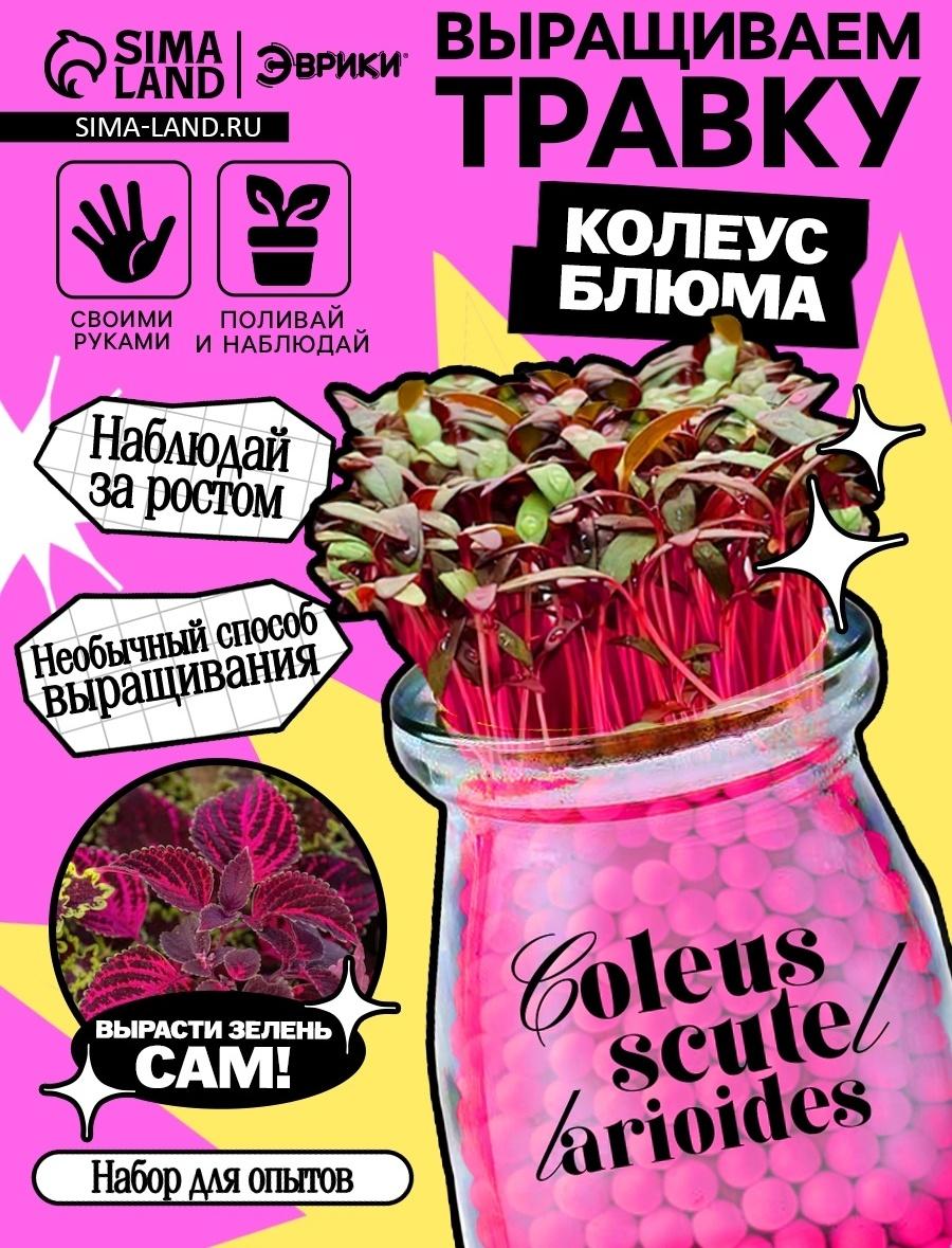 Набор для опытов «Выращиваем травку», своими руками, розовый