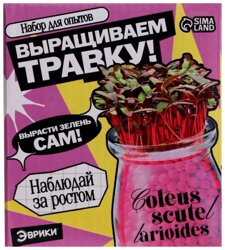 Набор для опытов «Выращиваем травку», своими руками, розовый