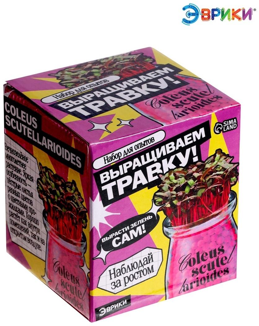 Набор для опытов «Выращиваем травку», своими руками, розовый