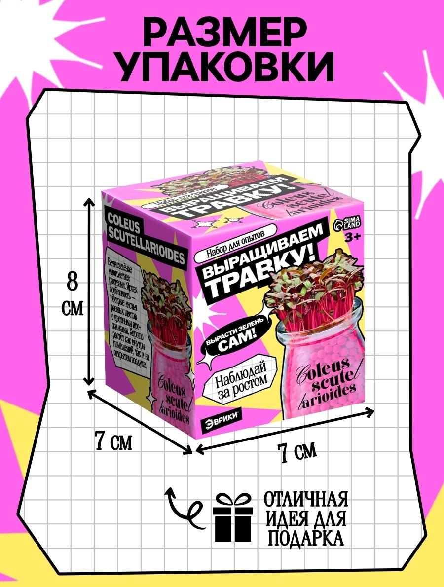 Набор для опытов «Выращиваем травку», своими руками, розовый