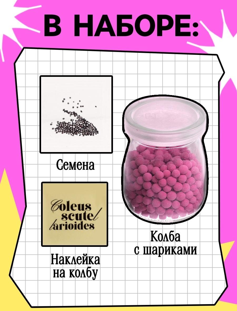 Набор для опытов «Выращиваем травку», своими руками, розовый