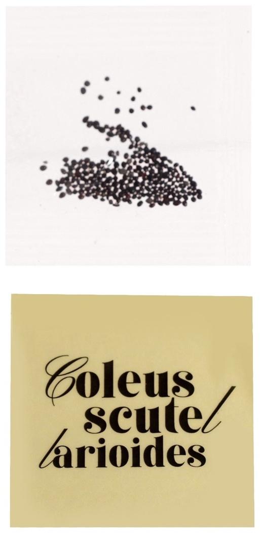 Набор для опытов «Выращиваем травку», своими руками, розовый