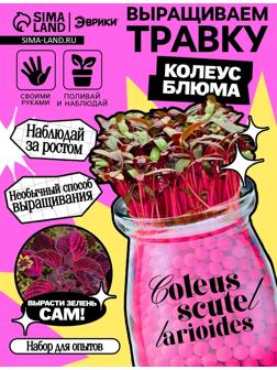 Набор для опытов «Выращиваем травку», своими руками, розовый
