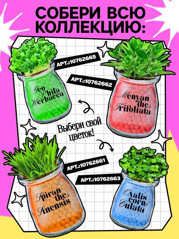 Набор для опытов «Выращиваем травку», своими руками, розовый